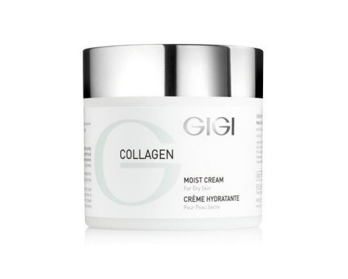 Collagen Elastin Moisturizer Cream For Dry Skin